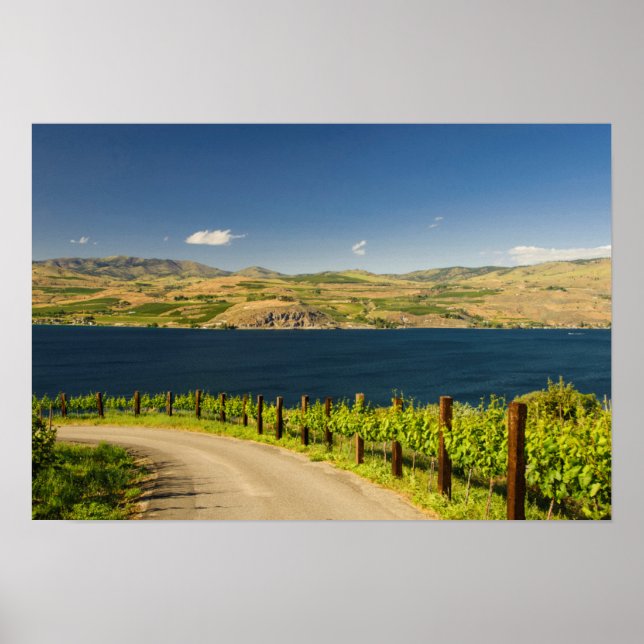 Affiches États-Unis, Washington, Lac Chelan. Vignoble (Devant)