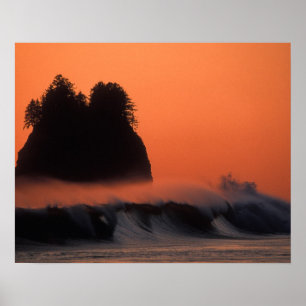Affiches États-Unis, Washington, Olympic National Park, Sea