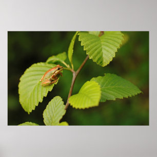 Affiches États-Unis, Washington, Seattle, Discovery Park