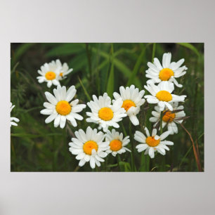 Affiches États-Unis, Washington, Seattle, Puget Sound 3