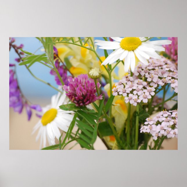 Affiches Été (Devant)