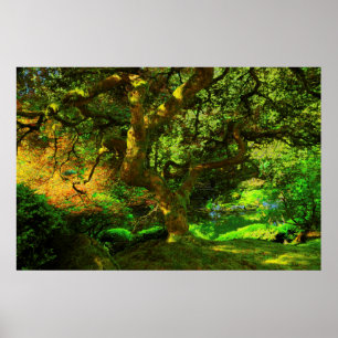 Affiches Été, jardin japonais de Portland, Portland