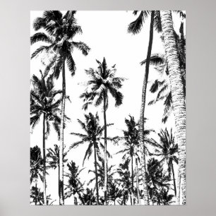Affiches Été tropical de palmier noir et blanc