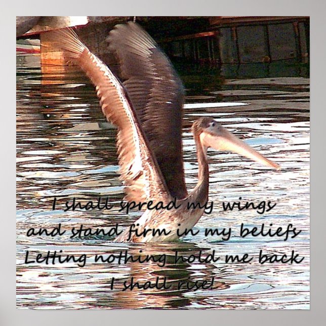 Affiches Étendez vos ailes_ (Devant)