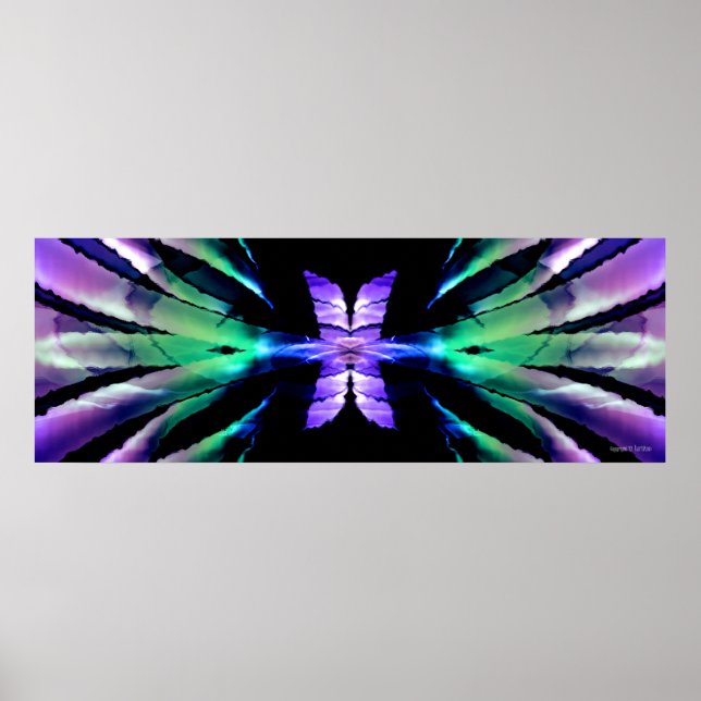 Affiches Étendue papillon (Devant)