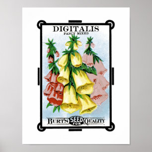 Affiches Étiquette de paquet de graine de digitale