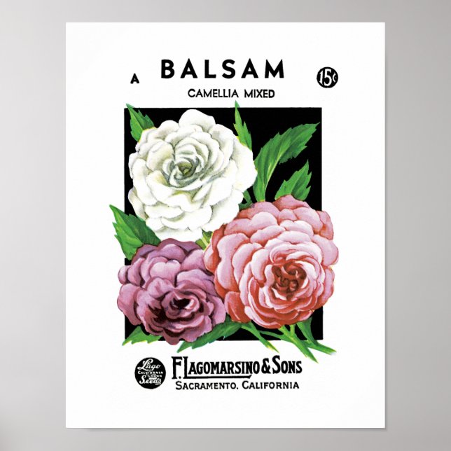 Affiches Étiquette de paquets de semences Balsam (Devant)