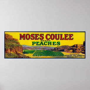 Affiches Étiquette de pêche de Moïse Coulee