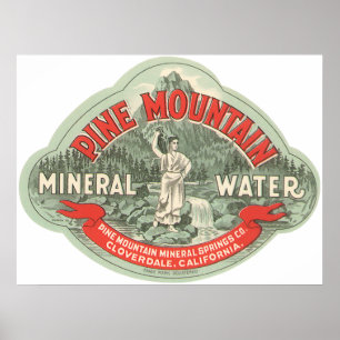 Affiches Étiquette de produit vintage, eau minérale de Pine