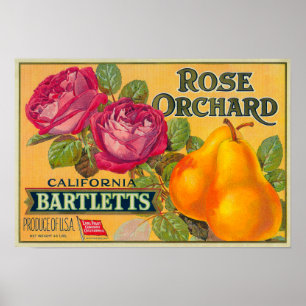 Affiches Étiquette rose de caisse de poire de verger
