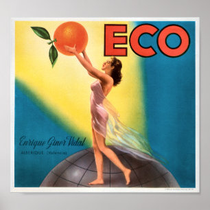 Affiches Étiquette vintage de caisse de fruit d'oranges de