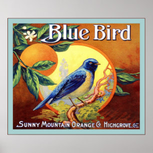 Affiches Étiquette vintage Fruit