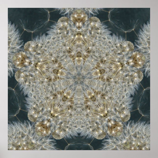 Affiches Étoile de Dandelion nov 2012 (Devant)