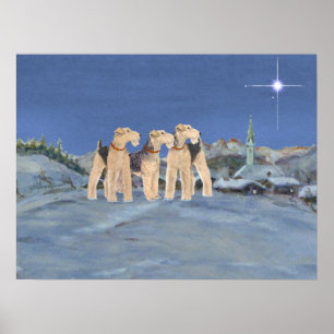 Affiches Étoile de Noël
