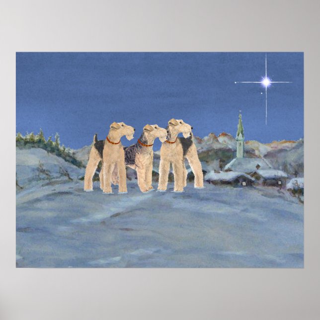 Affiches Étoile de Noël (Devant)