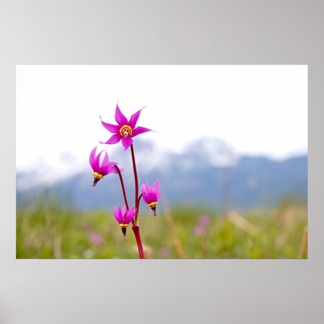 Affiches Étoile de tir (Devant)