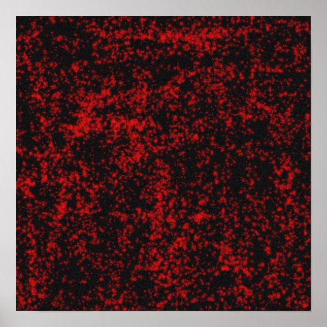 Affiches étoiles gothiques (Devant)