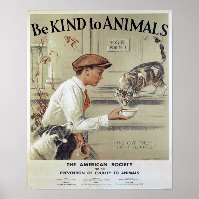 Affiches Être gentil avec les animaux-chats (Devant)