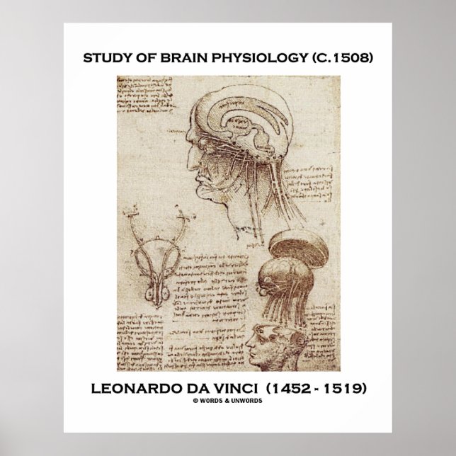 Affiches Étude De Physiologie Du Cerveau Leonardo da Vinci (Devant)