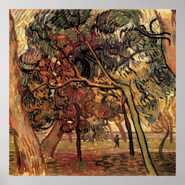 Affiches Étude de pins par Vincent van Gogh (Devant)
