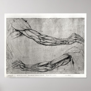 Affiches Étude des armes