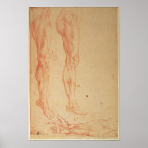 Affiches Études des jambes et des armes
