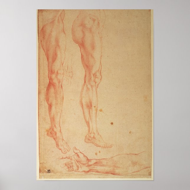 Affiches Études des jambes et des armes (Devant)