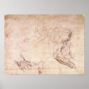 Affiches Études des mains et du bras