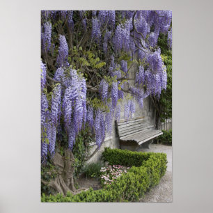 Affiches Europe, Autriche, Salzburg Stadt, Salzbourg,