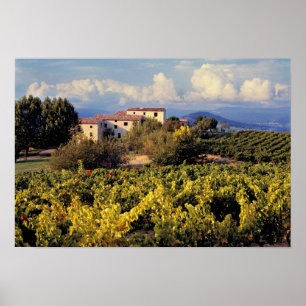 Affiches Europe, France, Bonnieux. Les vignobles couvrent