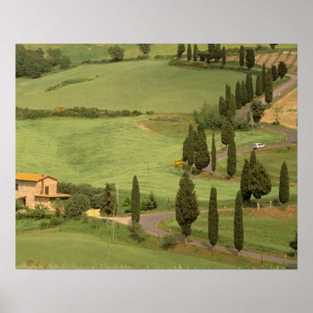 Affiches Europe, Italie, Toscane, Monticchiello. Courbe (Devant)