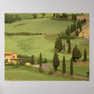 Affiches Europe, Italie, Toscane, Monticchiello. Courbée