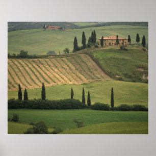 Affiches Europe, Italie, Toscane, Val d'Orcia, Toscan