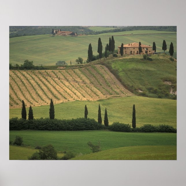 Affiches Europe, Italie, Toscane, Val d'Orcia, Toscan (Devant)