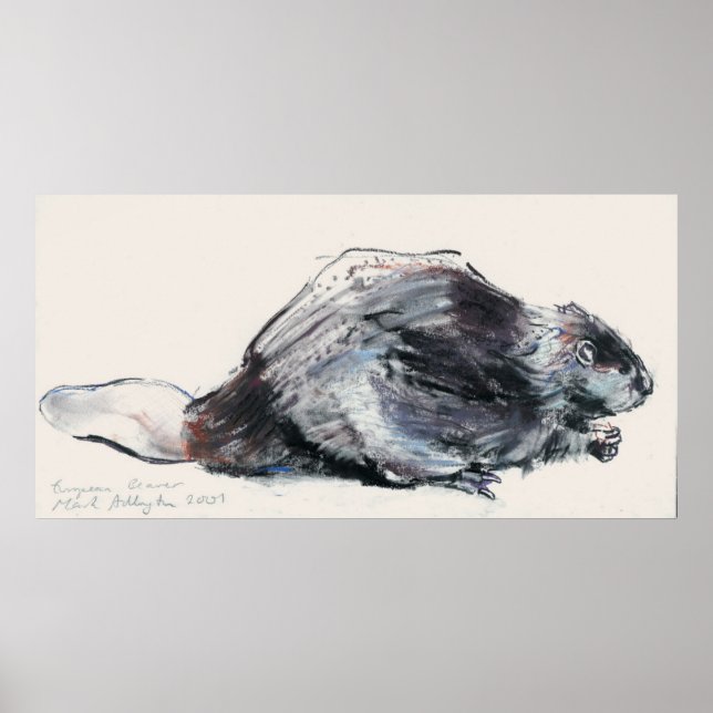 Affiches European Beaver (Devant)