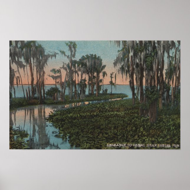 Affiches Eustis, Floride - Vue sur le canal de Swampy (Devant)