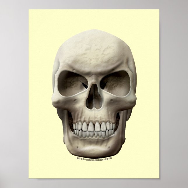Affiches Evil Skull (Devant)