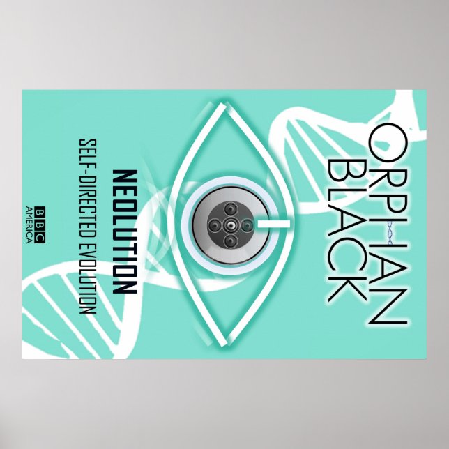 Affiches Evolution autogérée (Poster) (Devant)