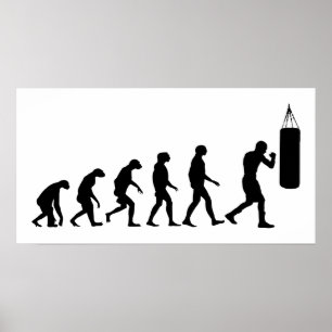 Affiches Évolution de la boxe