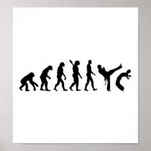Affiches Évolution de la capoeira