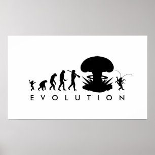 Affiches Evolution de l'homme et du cafard amusant Graphiqu