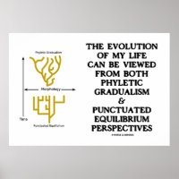 Évolution Phylétique Gradualisme Ponctué Équilibra
