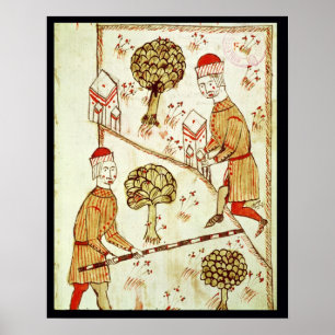 Affiches Examen et délimitation de terre