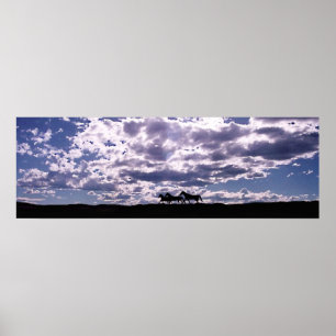 Affiches Exécution gratuite 2