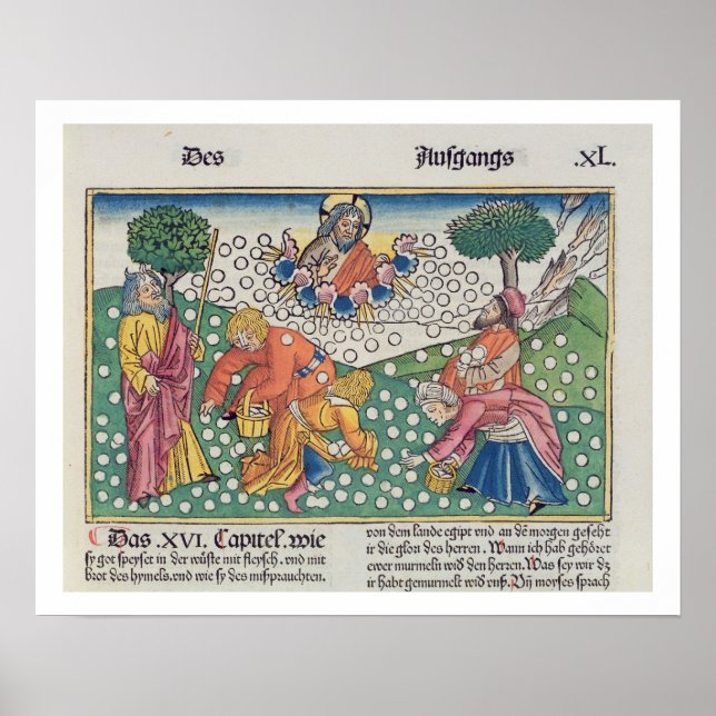 Affiches Exodus 16 13-22 God provides quail and manna to th (Devant)