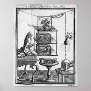 Affiches Expérimentation avec l'électricité