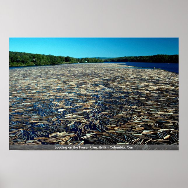 Affiches Exploitation forestière sur le fleuve Fraser, Colo (Devant)