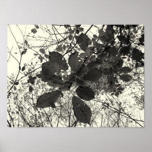 Affiches expression