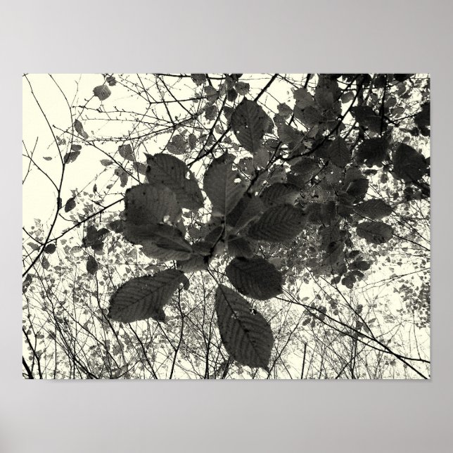 Affiches expression (Devant)