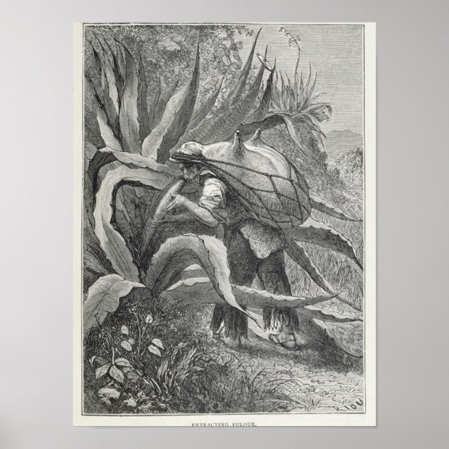 Affiches Extraction du pulque (Devant)